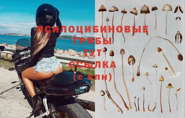 меф Майский