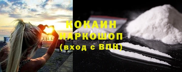 шишки Верея