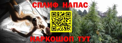 молекула духа Берёзовский