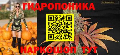 spice Балахна