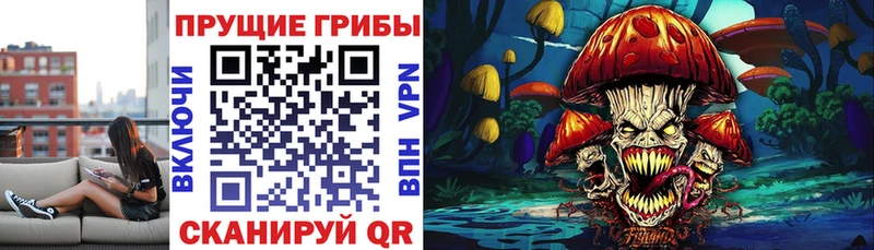 блэк спрут маркетплейс  купить закладку  Выкса  Галлюциногенные грибы мицелий 