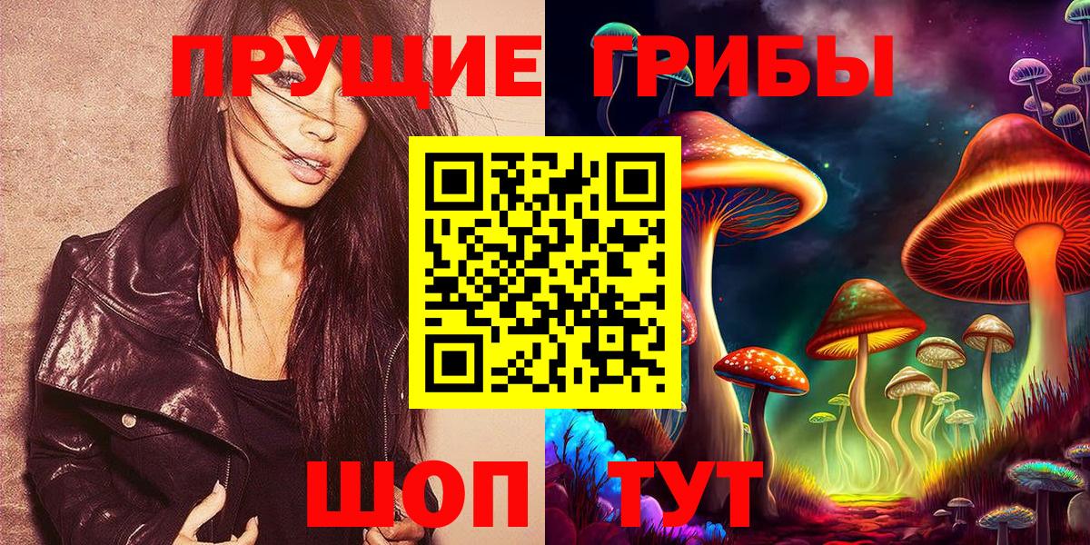 Выкса  Псилоцибиновые грибы GOLDEN TEACHER  Вход с VPN  Галлюциногенные грибы Cubensis 