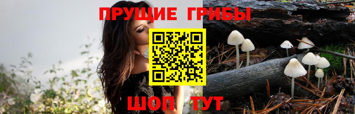 НБОМе  Лсд 25  Вход с VPN  МЕФ   A-PVP СОЛЬ кристаллы  Выкса  Марихуана 